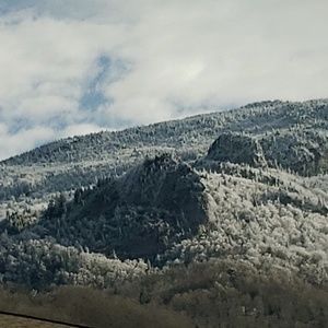 Meet your Posher, Shannon